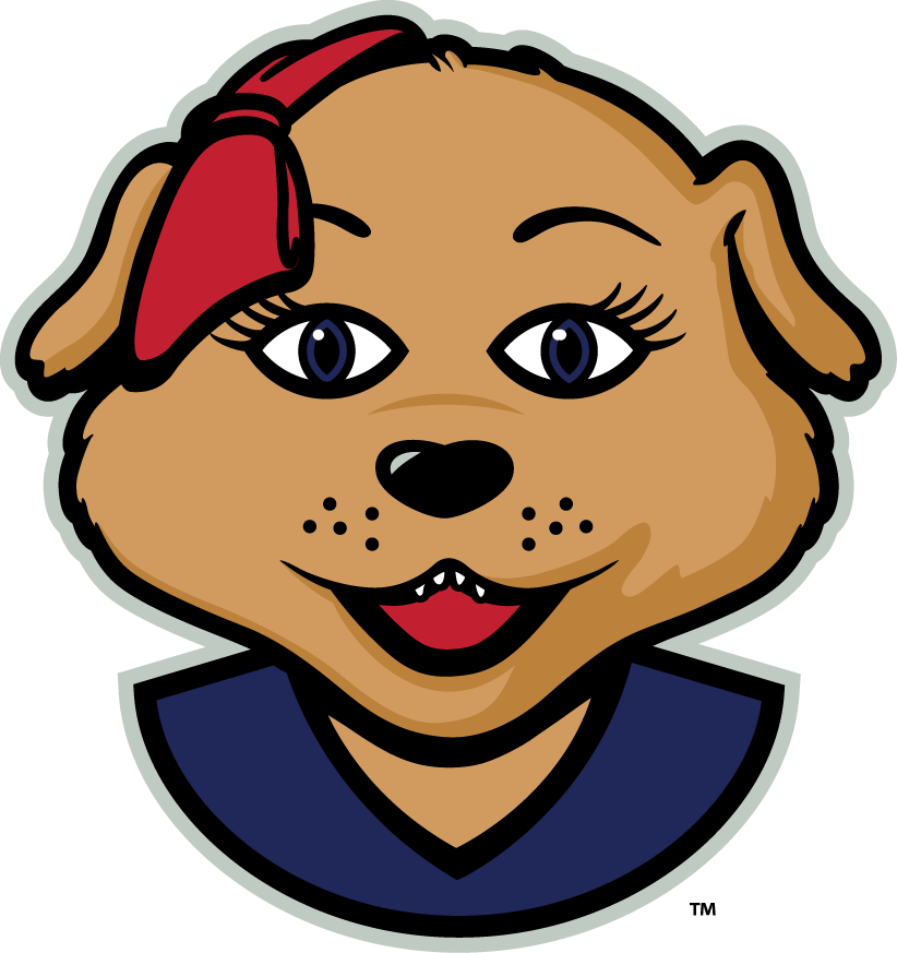 Arizona Wildcats 2013-Pres Mascot Logo v2 diy DTF decal sticker